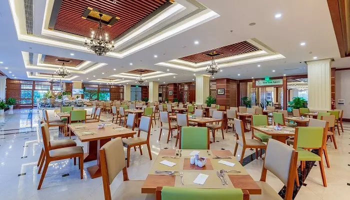 هتل دی ال جی دانانگ