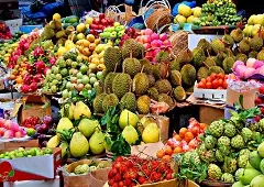نما از میوه ترباره خوشگل بالی