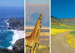 نما از دشت و حیات وحش و دریا