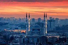 آواتار-7710
