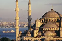 آواتار-7991