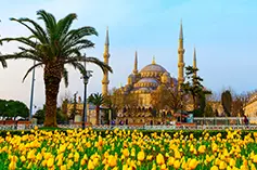 آواتار-9231