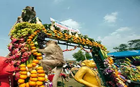 جشنواره میمون ها در لوپبروی تایلند