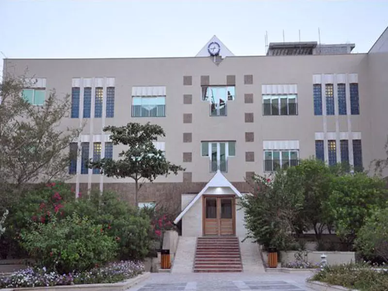 فلامینگو