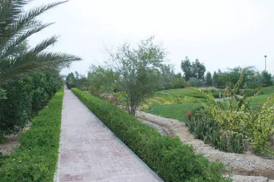 مارینا